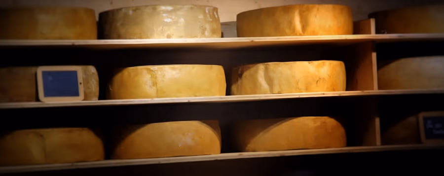 Assortiment de fromages Maison Excellence